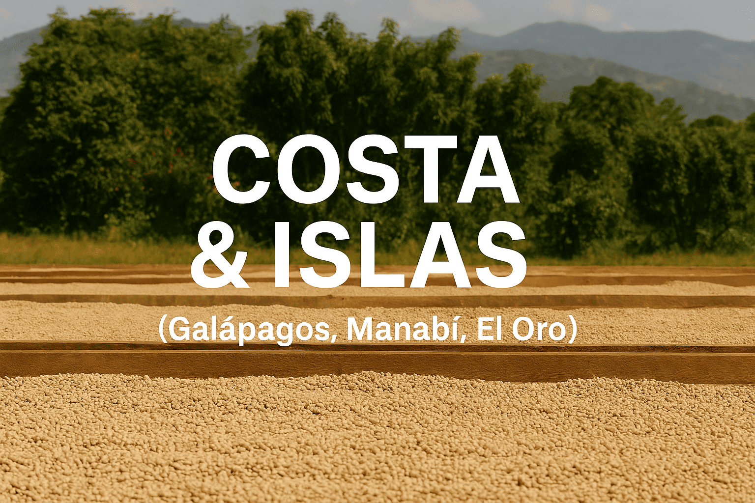 Isle Bros Coffee - Costa / Islas (Galápagos, Manabí)